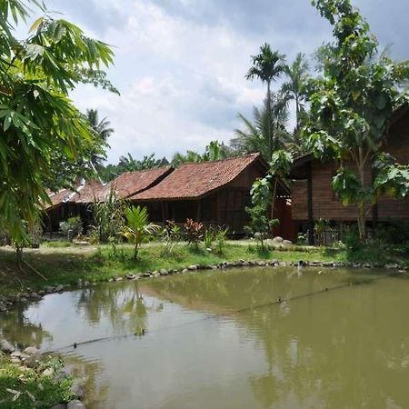The Pikas Resort Wonosobo Ngoại thất bức ảnh