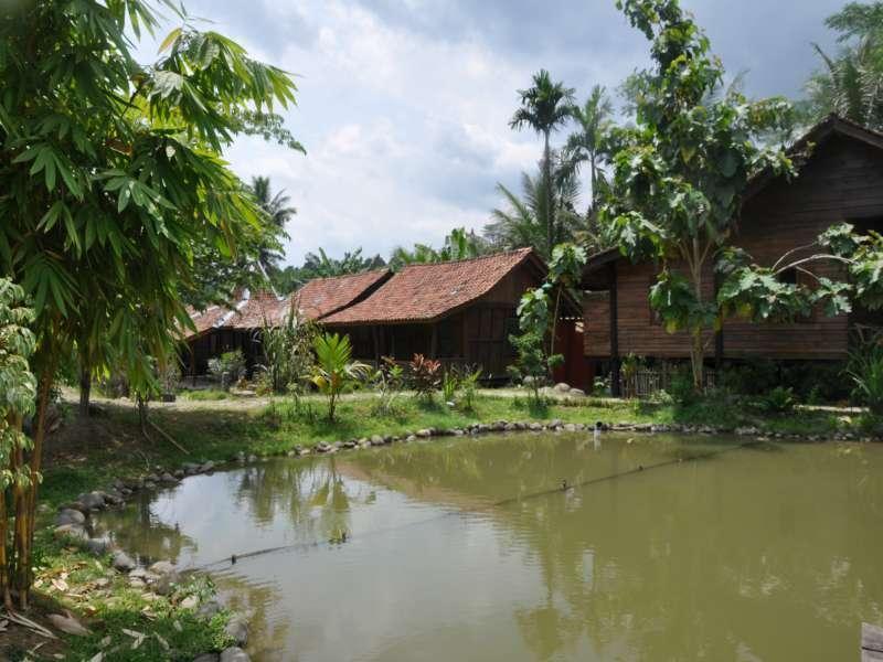 The Pikas Resort Wonosobo Ngoại thất bức ảnh