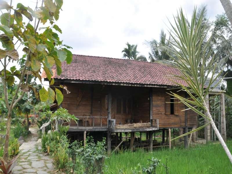 The Pikas Resort Wonosobo Ngoại thất bức ảnh